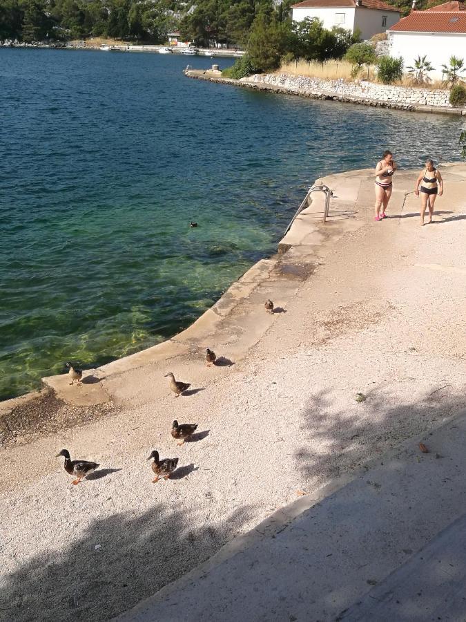Roberto Apartment Bacina Dış mekan fotoğraf