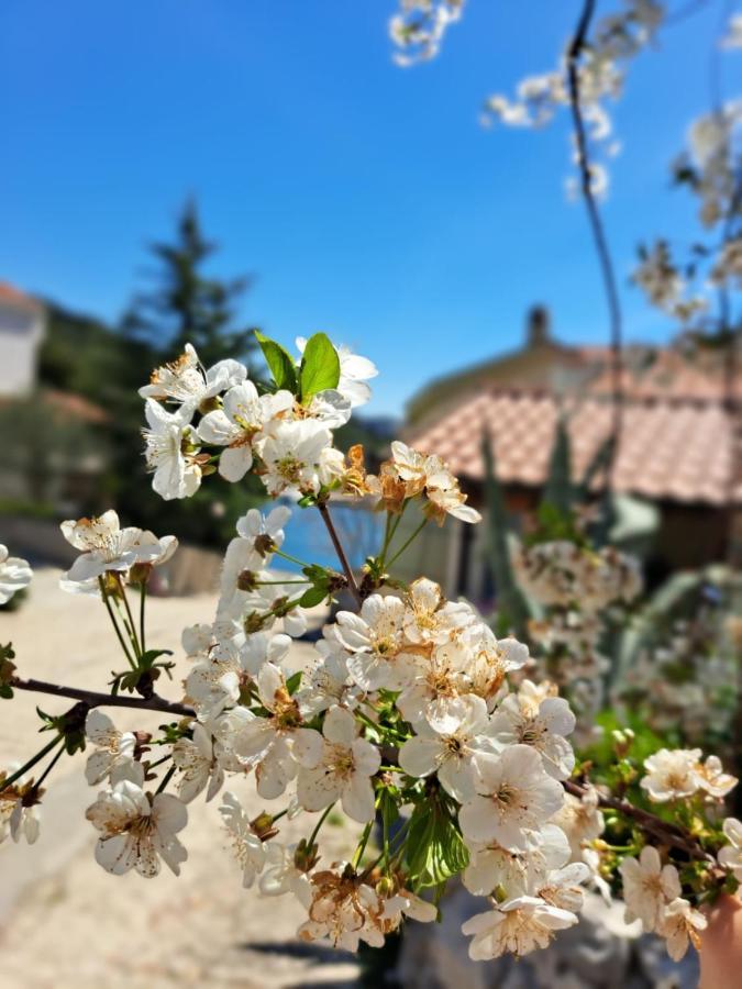 Roberto Apartment Bacina Dış mekan fotoğraf