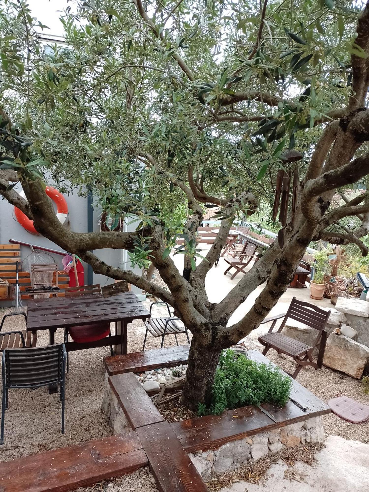 Roberto Apartment Bacina Dış mekan fotoğraf