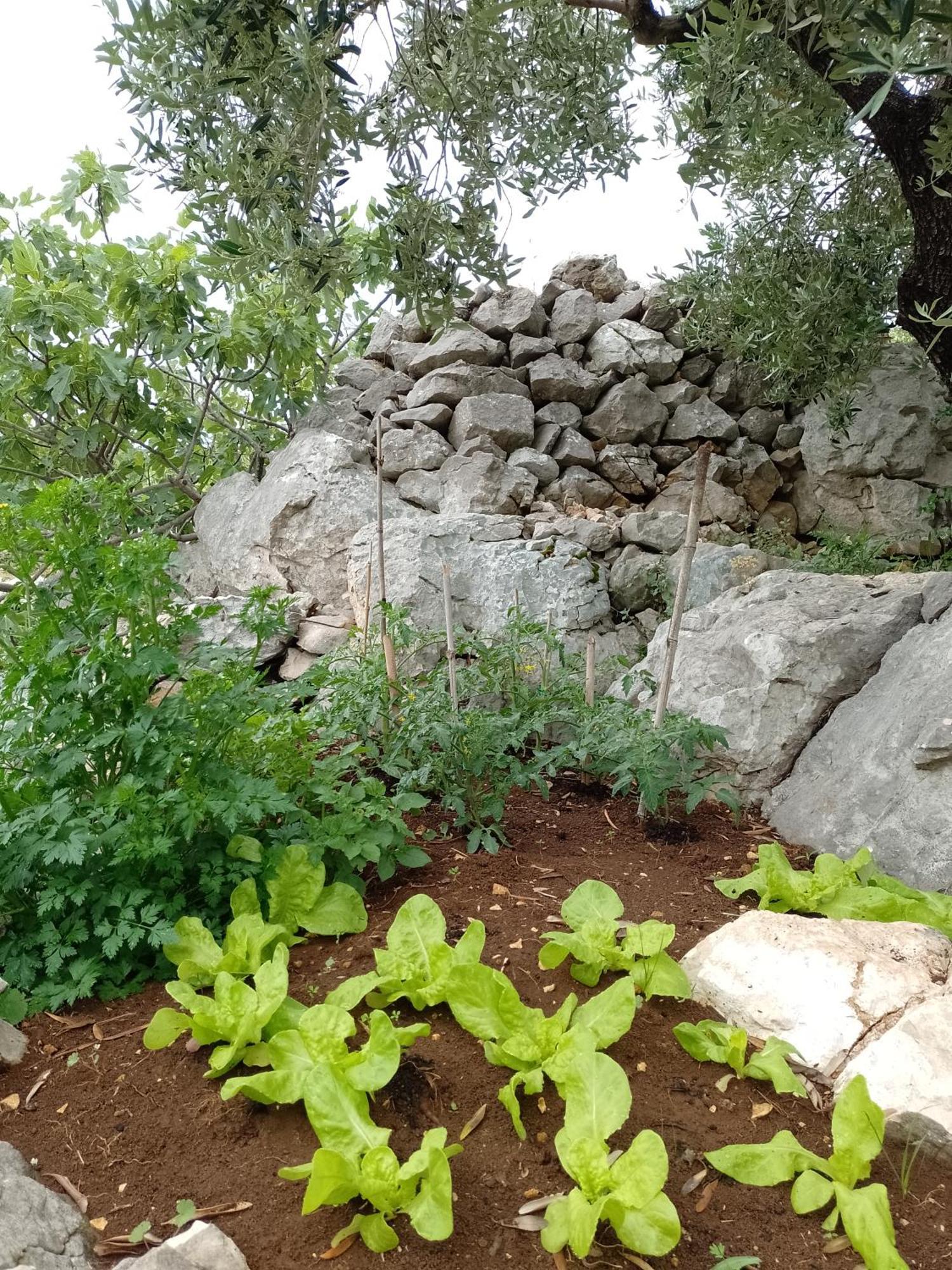Roberto Apartment Bacina Dış mekan fotoğraf
